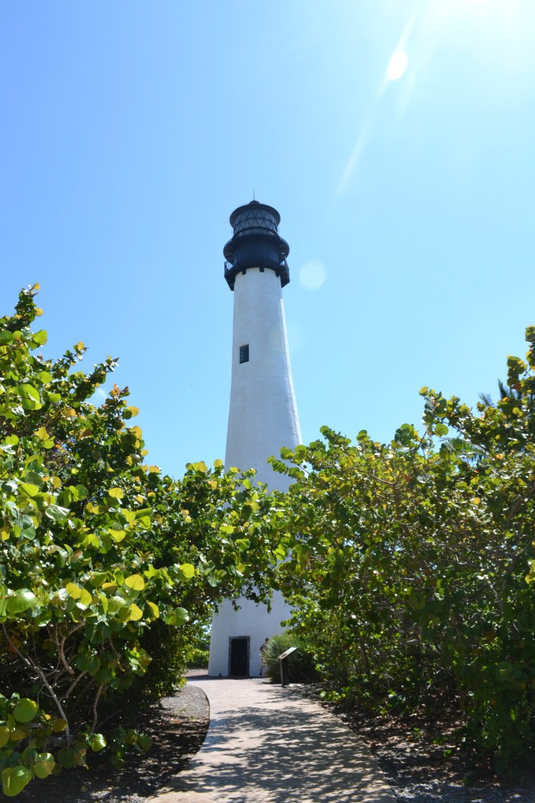 Search for the Light